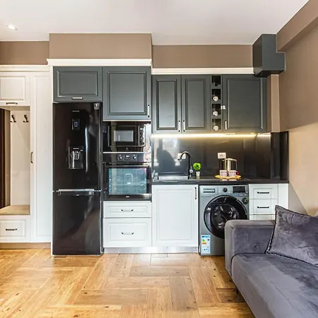 Apartment Brownie Luxury 2 With Balcony Full Kitchen 3 Min To